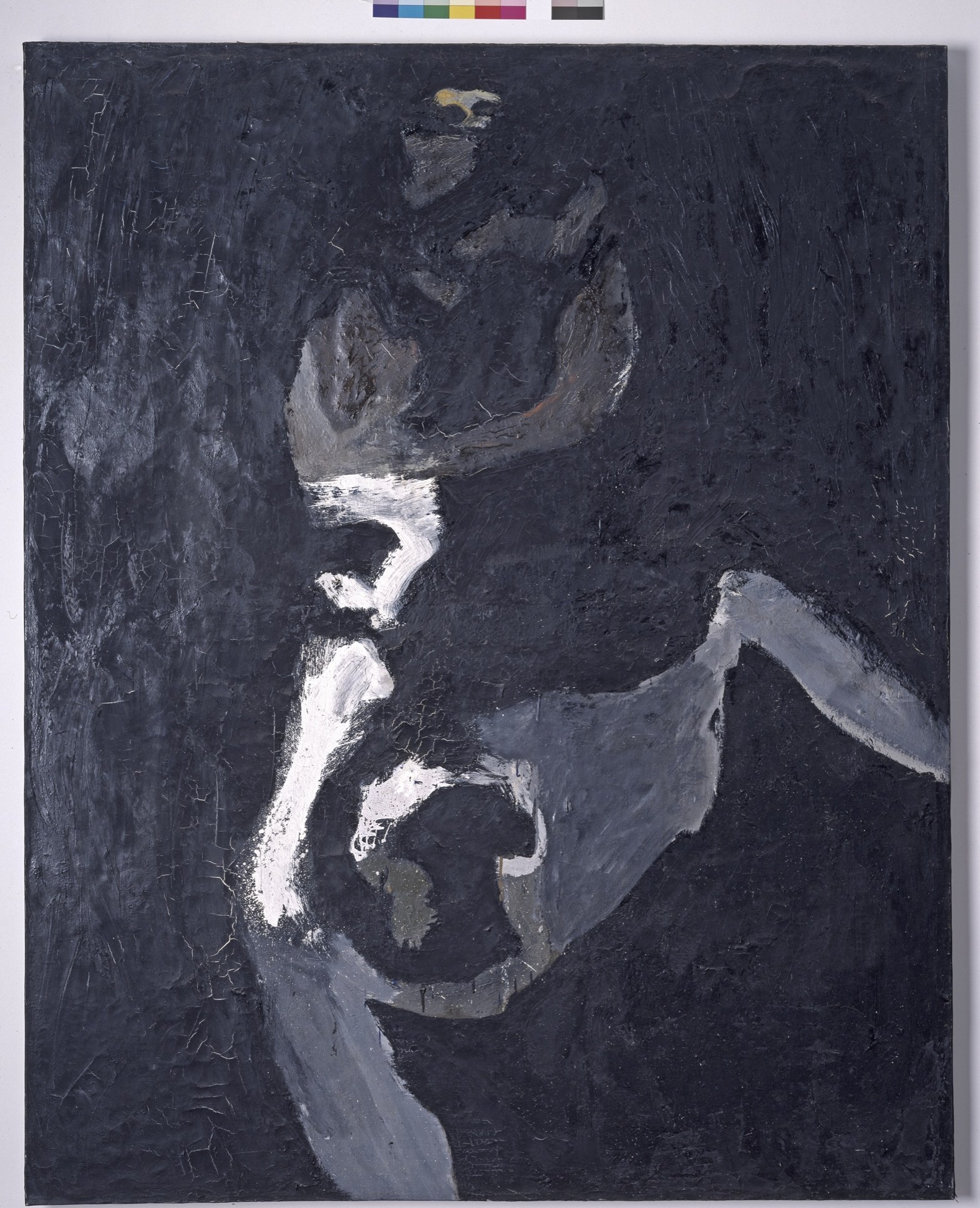 FL.1955.PTG.003